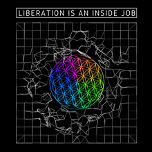 Liberation is an Inside Job | TRANScend the Matrix | 100% Recycled Fabric T-Shirt